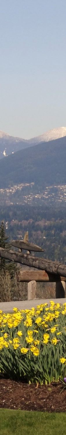 本那比山公园-本那比