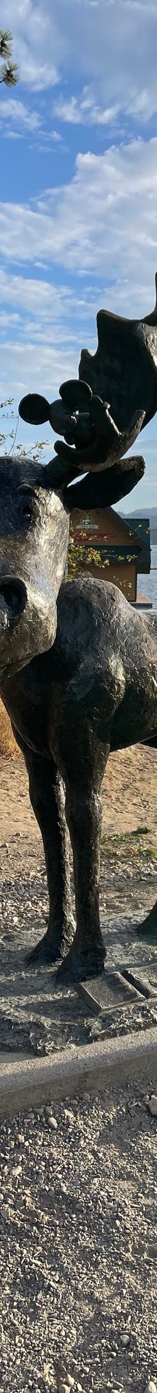 Tubbs Hill-科达伦