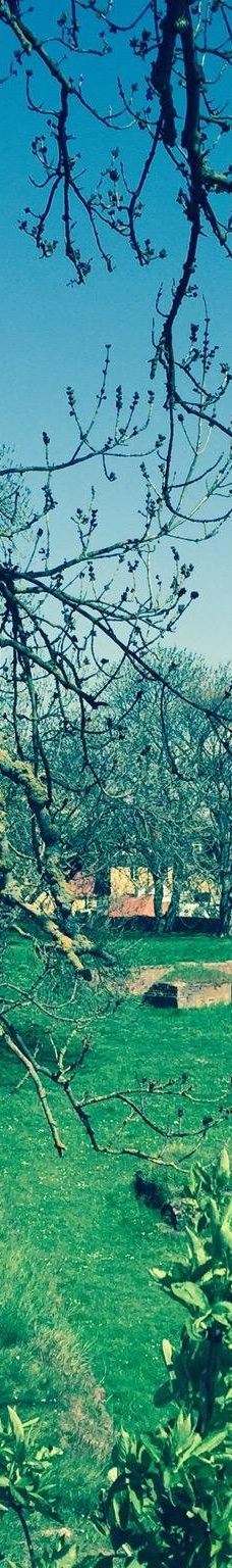 Danmarks Borgcenter-沃尔丁堡