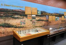 Woomera Museum景点图片