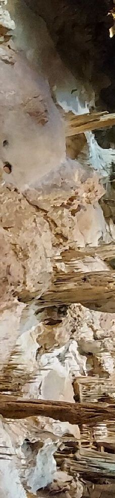 Grottes de Betharram-圣佩德比戈尔