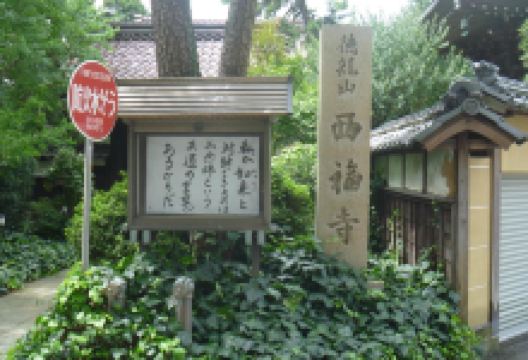 西福寺景点图片