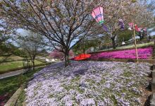 静峰ふるさと公園景点图片