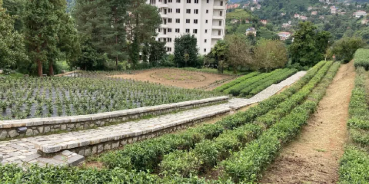 Ziraat - Botanik Cay Bahcesi