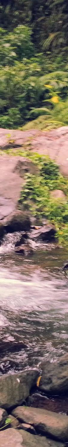 Lemukih Waterfall-巴厘岛