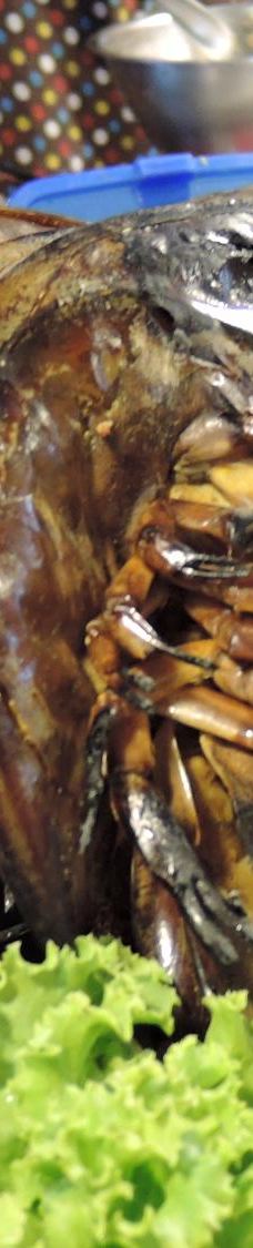 Chan Chala Night Market-董里