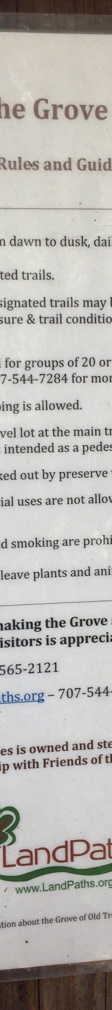 Grove of Old Trees-奥西丹透