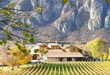 Tenuta San Leonardo景点图片