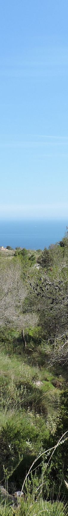 Fuente del Esparto-内尔哈