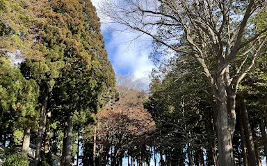 十和田市立 新渡戸記念館