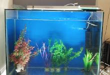 Uncle's Aquarium购物图片