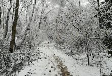 Roman River Valley景点图片