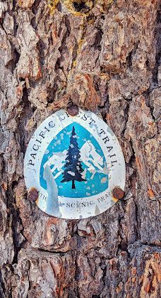 Sugar Bowl Resort-普莱瑟县