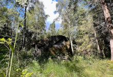 Pollikivi景点图片