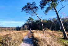 Diakonievene景点图片