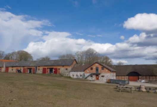 Naturskolen Ved Hald景点图片