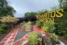 Charito's Garden景点图片