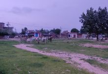 Kherka Cattle Ground, Naugaja景点图片