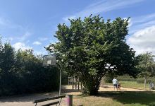 Spielplatz an der Kita Biberburg景点图片
