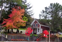 Novato History Museum景点图片