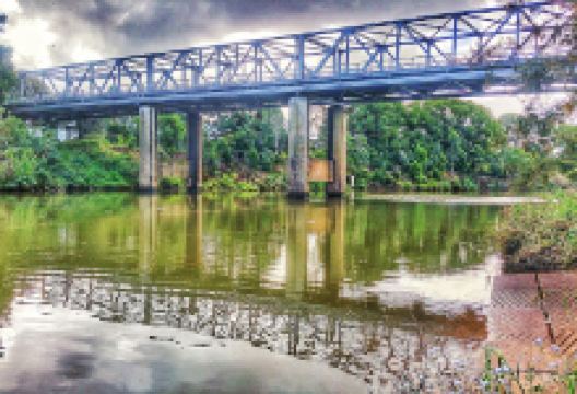 Lismore River Fenced Dog Park景点图片
