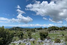 Ngarua Caves Lookout景点图片