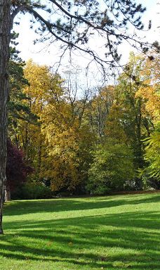 Parc de Champagne-兰斯