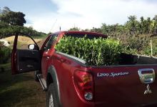 Vivero El Punto La Garita购物图片
