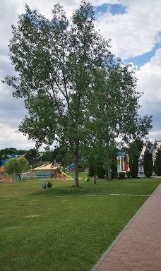 Rukkel-tó Waterpark-塔基索尼