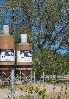 Vingaarden, Lille Gadegaard ( Vineyard )-阿克尔科拜