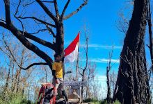 Mount Argopuro景点图片