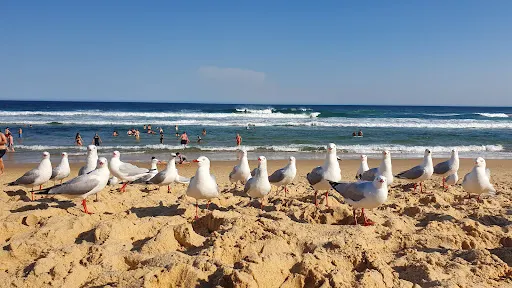 Dudley Beach