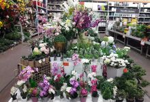 OBI Vrtni center Koper购物图片