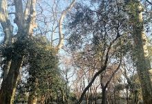 Claude Leenhardt Municipal Park景点图片