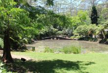 Tamborine Mountain Regional Botanic Gardens景点图片