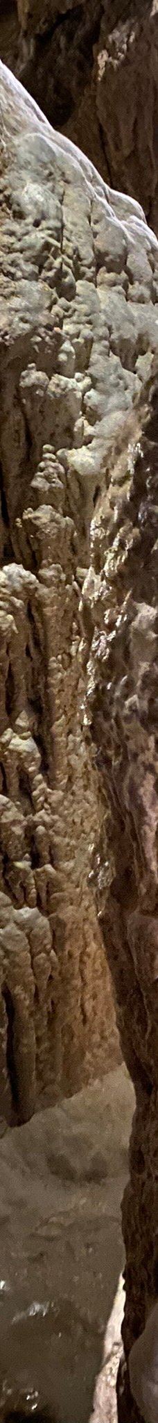 Grotta Zinzulusa-卡斯特罗