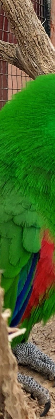 Vogelpark Niendorf-蒂门多尔费尔斯特兰德