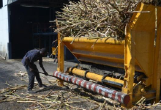 Barbancourt Rum Distillery景点图片