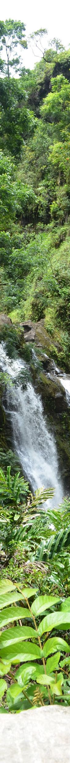 Upper Waikani Falls-茂宜县