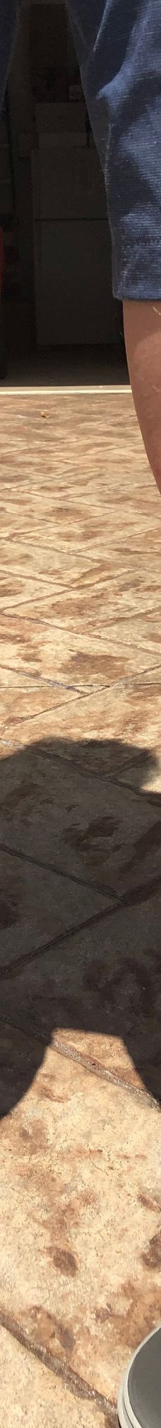 Bowman's Beach-萨尼贝尔