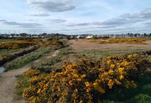 The Solent Way Walk景点图片