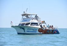 Express Watersports Rentals , Sailings, Cruises & Scuba景点图片