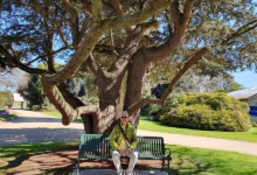 Colac Botanic Gardens景点图片