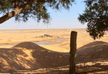 Ksar Ghilane景点图片