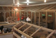 Ferme du Bassin景点图片