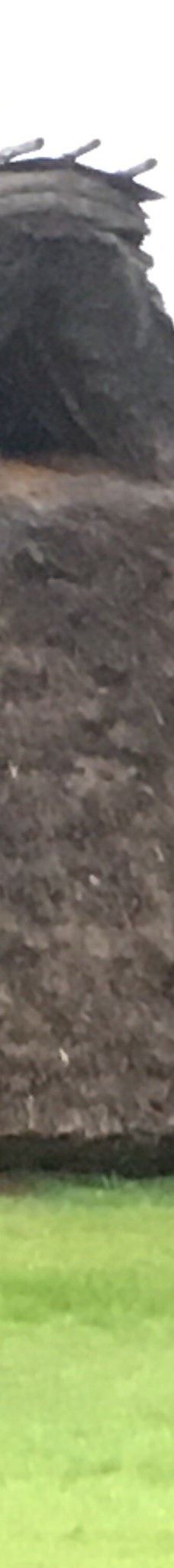 本町田遗迹公园-町田市