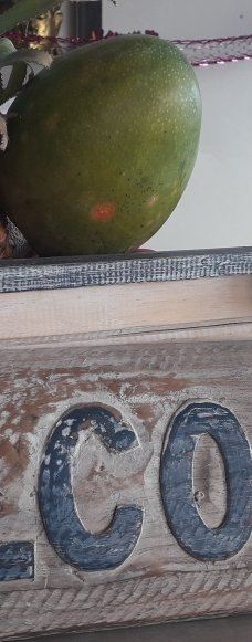 Kurma Asih Sea Turtle Conservation Center-巴厘岛