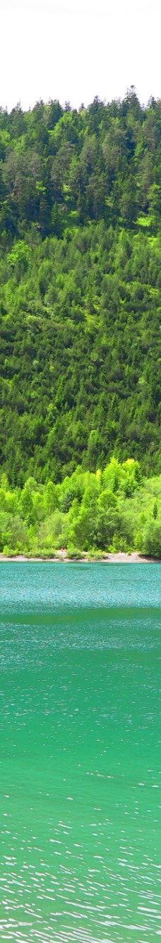 Blindsee-比伯维尔