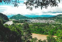 Parque Nacional Tingo Maria景点图片