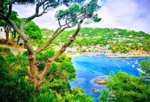 La playa de Tamariu景点图片